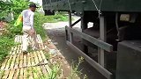 解救被卡在轮胎里的小猫咪