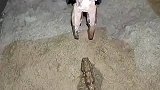 用钳子抓鱼，猜猜抓住没有