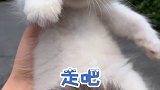 捡猫专业户，今天又捡到猫了！还是蓝色的眼睛，好好看啊～  吸猫 小奶猫 萌宠 流浪猫