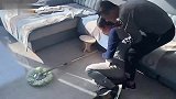 怀胎九月妻子意外摔倒，恶毒婆婆却装死骗儿子回娘家，三天后悲剧