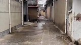 邻居翻盖新房子，这样的好邻居哪里找