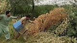 这个是什么操作