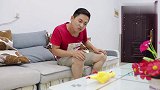 小伙在家无聊，竟然和“玩具鸡”干起了架，结局太搞笑了