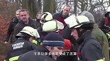 干旱让数百头牛马陷入泥潭，等待死亡，秃鹫静静的等在一旁