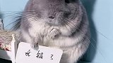 这小孩最近相当的叛逆啊...