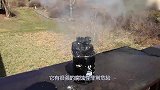 硫酸到底有多危险？小伙作死将水蛭扔进去，下一秒看傻了！