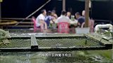 老广的味道入夜后的这里的繁荣很吸引人，满街都是美味