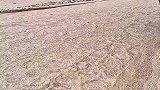 我的老家就是这个屯