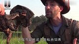 村民抓到一只大乌龟，怕是保护动物立即上交，专家一看赶快杀