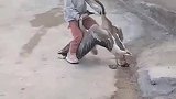 此女不凡，将来能成大事