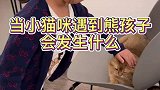 当小猫咪遇到熊孩子会发生什么