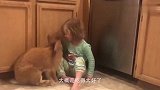 家里来了一只兔子，遇到猫咪后会发生什么呢？兔子实在太蠢萌了