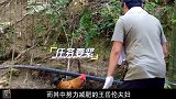 李湘凶王岳伦：多学人家怎么哄老婆！注意王岳伦的表情，太卑微了