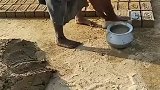 大姐干活不穿鞋