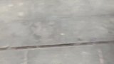 赶紧放冰箱，不然就化掉了