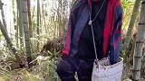 无臂大哥用脚趾挖冬笋，让人心疼