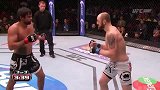 UFC-14年-UFC Fight Night 40：卡布莱尔vs库明斯集锦-精华