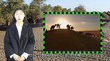 中国最大沙漠深处,发现一片绿地,住着隐居400年来历不明的人