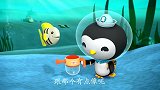 海底小纵队：皮医生走出舱门，得到小鱼指引，结果顺利完成