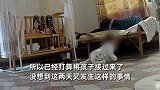 宝宝不慎摔落床下大哭不止，爷爷睡着全程未起身，宝妈：令人发狂