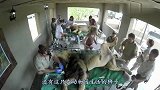 相隔6年未见，狮子一眼就认出了救命恩人，眼前一幕让人感动！