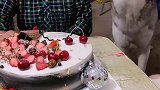 二哈㊗️姥姥生日快乐