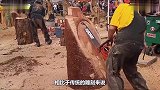 用电锯也能进行雕塑牛人展示操作工艺，真是太厉害了