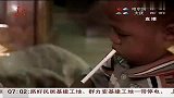 柬埔寨幼童吸吮母牛乳头喝奶