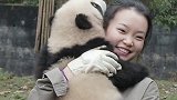 谁还不是个乖宝贝，小熊猫在美女怀里撒娇卖萌，完全忘记自己是个