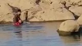 两男孩河边玩耍不慎落水，小伙立即跳水救人