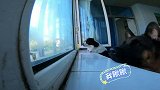边牧看见外面的小狗急的团团转，铲屎官说出真相后，扎心了