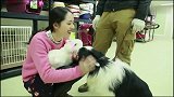 富二代怎么追到女神的？向佐求婚时说的这段话，让郭碧婷死心塌地