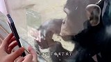 都给咱们的榜一大哥点点关注