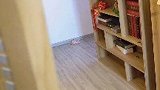 剧本不是这样写的！