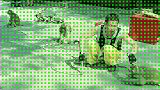 猴子英雄救美了。关注