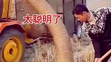 秸秆回收利用，太聪明了