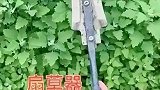 终于知道二郎神为啥可以身居天庭三品官员了