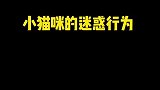 每天都是凶凶的，说它两句它就不开心了，有时候还要哄它