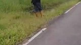 钓鱼佬不要面子的吗