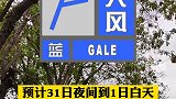 黑龙江省气象台2021年5月31日14时10分提前发布大风蓝色预警信号
