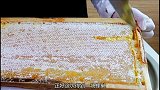 90后小伙用蜂巢做稀罕小吃，加一杯酸奶卖12元，一次买5份