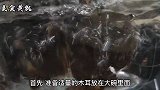 木耳好吃的烹饪方法，加1个洋葱，质地柔软，口感细嫩，吃得放心