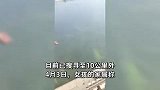 吉林两女孩失联上百名村民彻夜搜寻，家属：一女孩溺亡，正寻找另一人