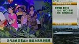 天气凉爽团客减少 建议市民尽早观博-8月31日