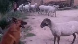 没什么不好意思的，一起笑吧