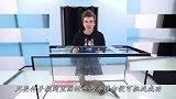 神秘鱼缸大挑战，手伸进去的瞬间，隔着屏幕都瑟瑟发抖！