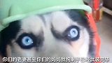 狗剩子，你干嘛呢你这动作好不雅观啊