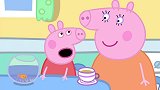 小猪佩奇：佩奇去了水族馆，遇到很多金金同类，真是长见识了