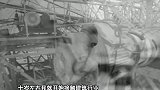 女嘉宾自己也养了狗，特别是狗毛太不好清理了