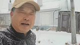 一朵雪花，两朵雪花，朵朵雪花飘洒的是那样的轻盈。春天呀你在哪